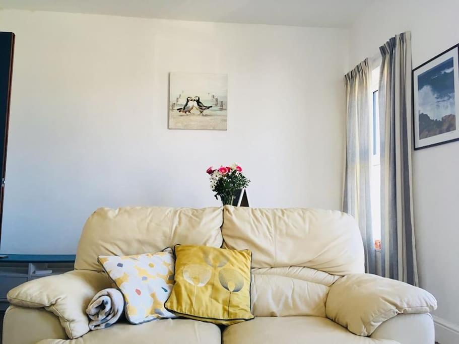 Hillcrest Cottage, Comfy Flat, Trendy Uplands Area Swansea Exteriör bild